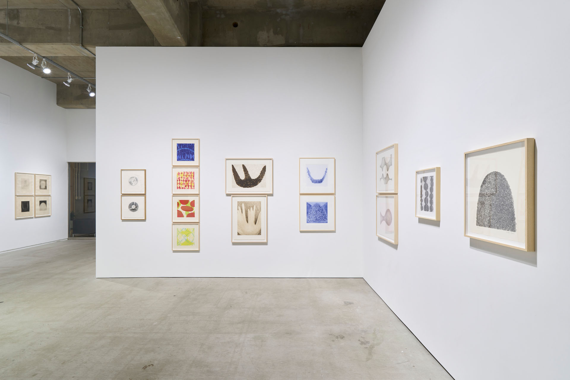 1990年代後半より版画も継続して出版している。「青木野枝 版画展 1997–2026」の展示風景（ANOMALY、2026年）撮影：坂本理/-/©︎Noe Aoki, courtesy of ANOMALY